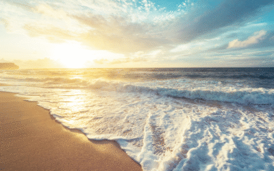 Newsletter August 2025